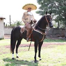 Messi bids farewell to barça: Vicente Fernandez Portal 3 Activities He Likes And Dislikes
