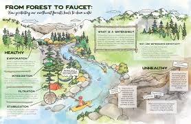 Purifying water in the wilderness Washington Wild From Forest To Faucet Washington Wild