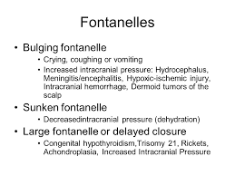 The Newborn Examination Ppt Download