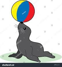Image result for seal balancing ball