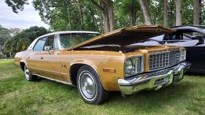 Image result for Silver Frost 1973 Fury