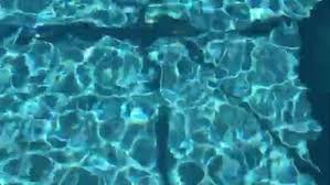 Compare reveiws, get multiple quotes, and hire the best pro for your project. Cardinal Pool Maintenance Llc Home Facebook