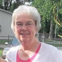 Karen Sue Barnes Obituary