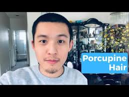 Here are two ways you can do it! My Asian Porcupine Hair Growth From A Buzzcut Youtube
