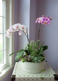Maybe you would like to learn more about one of these? A Simple Orchid Planter Diy