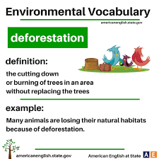 Environmental Vocabulary Deforestation