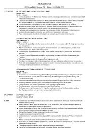 Project Management Consultant Resume Samples Velvet Jobs