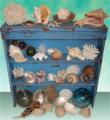 For one, he says, it can make you a keener observer—and caretaker—of nature. Create A Cabinet Of Curiosities