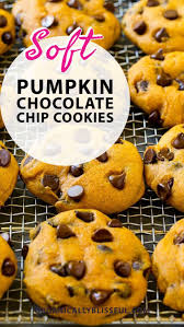 Delicious Soft Pumpkin Chocolate Chip Cookies Recipe