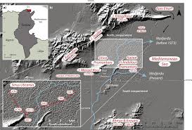 Palaeogeographical And Palaeoenvironmental Reconstruction Of The Medjerda Delta Tunisia During The Holocene Sciencedirect