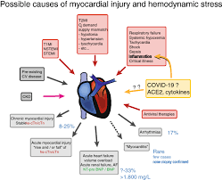 There are no restrictions on people. Coronavirus Disease 2019 Covid 19 And Its Implications For Cardiovascular Care Expert Document From The German Cardiac Society And The World Heart Federation Springerlink