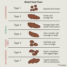 Image result for blood in stool human poop