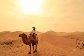 We want to develop a show that blends the eye grabbing style of mtv with the intelligent. Sha Mo Zhong De Luo Tuo æ²™æ¼ ä¸­çš„éª†é©¼camels In The Desert Lyrics æ­Œè©žwith Pinyin By Xiang Hai æ¹˜æµ· Chinese Song