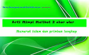 Tergantung dari sudut pandang mana kita melihatnya. Arti Mimpi Melihat 2 Ekor Ular Menurut Islam Dan Primbon Lengkap