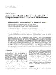 Image result for Periploca linearifolia