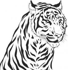 From our instagram follow us on instagram and facebook for more updates on new lessons. How To Draw A Realistic Tiger Step 7 Tiger Drawing Realistic Drawings Animal Drawings