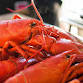 Apres Polo Rhode Island Lobster Boil