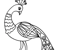 Burung cendrawasih jantan memiliki keindahan bulu yang digunakan untuk menarik perhatian cendrawasih betina pada masa kawin. Mewarnai Gambar Burung Cendrawasih Mewarnai Cerita Terbaru Lucu Sedih Humor Kocak Romantis