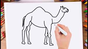 Sugar for the upper part of the body will bulge more. How To Draw A Camel Step By Step For Kids Drawing Camel Very Easy And Simple Youtube