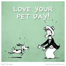 Lawn doctor is denver's premier lawn care, pest control, and tree service company. The Pet Doctor The Petdoctor Twitter