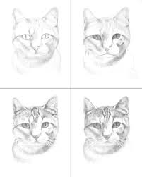 Wie Zeichnet Man Ein Katzenportrat Ubere Tiere Cizimler Cizim Teknikleri Drawing