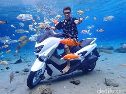 Ini gambar animasi yang indah dirancang untuk semua penggemar fotografi gelombang. Bukan Di Laut Ini Foto Foto Bawah Air Sumber Alami Di Klaten