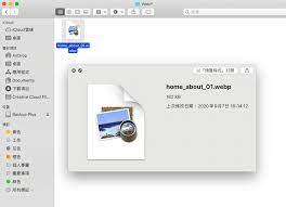 webpquicklook 讓macos 預覽程式支援webp 圖片格式 creative cloud icloud backup