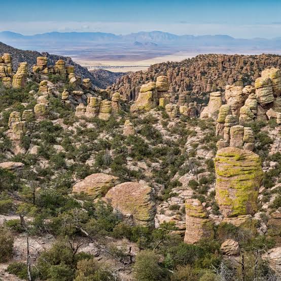 America Mints a New National Park, Elevating an Arizonan 'Sky Island' - The  New York Times