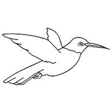 Hummingbirds are the smallest birds and feed on nectar with their long beaks, mainly in the here are some free printable hummingbird coloring pages for kids. Top 10 Hummingbird Coloring Pages For Your Toddler Coloring Pages Bird Coloring Pages Flamingo Coloring Page