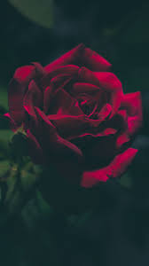 Pin On Photography