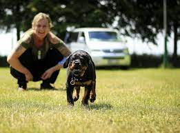 They are located west of ottumwa, serving the. All Pets Veterinary Clinic Home Facebook