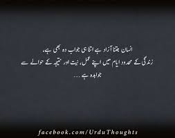14 Inspirational Quotes In Urdu English Urdu Quotes About Life In English And Funny Quote In 2020 Funny Quotes In Urdu Inspirational Quotes In Urdu Urdu Funny Quotes