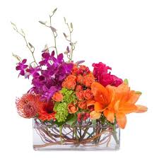 Maybe you would like to learn more about one of these? Send Flowers In Tampa Fl