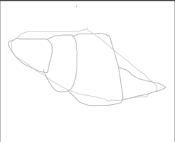 Then draw the top of the conch. How To Draw A Conch Shell 10 Steps With Pictures Wikihow