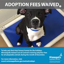 Cats are $50 for minneapolis residents, plus the cost of a city license, and $100 for nonresidents. City Of Minneapolis On Twitter Minneapolis Animal Care Control Is Waiving Adoption Fees For All Adoptable Animals During The Month Of December Browse Adoptable Animals At Https T Co Diiiv2kybn And Then Call 311