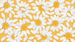Visit the license and usage info page for full terms and conditions of use. Soft Pastel Color Floral 3d Illustration On Orange Background Royalty Free Cliparts Vectors And Stock Illustration Image 79761921