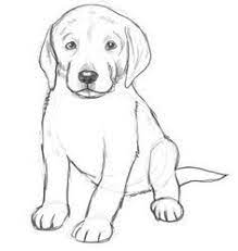 Dog Drawings In Pencil Easy For Kids Sketch Coloring Page Dog Drawing Simple Dog Pencil Drawing Dog Drawing Tutorial I'm excited to share this post of drawing ideas for kids with you. dog drawing simple dog pencil drawing