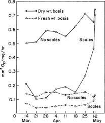 Breathing Rate An Overview Sciencedirect Topics