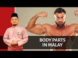 Instructions, body parts productive language: Body Parts In Malay Youtube