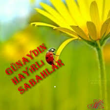 Hakan Pasaoglu Adli Kullanicinin Gunaydin Panosundaki Pin 2020