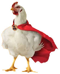 Avícola Master Pollo