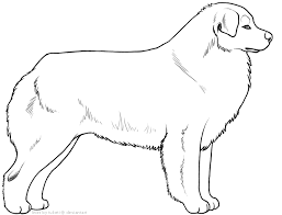 Affordable and search from millions of royalty free images, photos and vectors. Free Lines Australian Shepherd By Tuketi On Deviantart