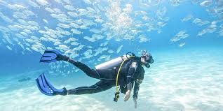 Kita boleh menempah servis snorkeling dan skuba diving yang ibu sangat rekemen untuk dilakukan di sana. 30 Aktiviti Dan Tempat Menarik Di Pulau Redang