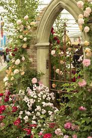 Rhs Chelsea Flower Show Focus On The Flowers Beautiful Flowers Garden Chelsea Flower Show Garden Gates