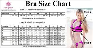 bra size chart bra size charts bra sizes bra chart