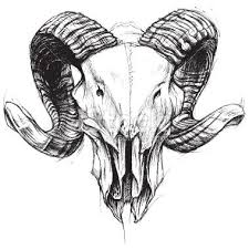 Ram Skull Traditional Drawing Line Work Vector For Use Kafataslari Dovme Fikirleri Eskiz