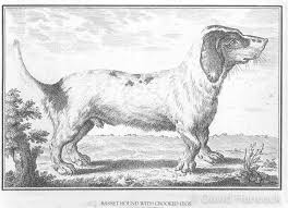 Sleek and tough finish makes it elegant and timeless. 1146 Short And Crooked Criminal Breeding David Hancock