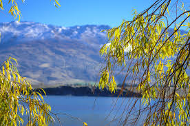 Maybe you would like to learn more about one of these? Paradisstallen I Nya Zeeland Montering Lagar Mat National Park Arkivfoto Bild Av Alpin 80438730