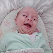 Say hello to five new Dorset arrivals