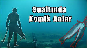 Sualtinda Eglenceli Goruntuler Agason Zipkin Avi 2020 Komik